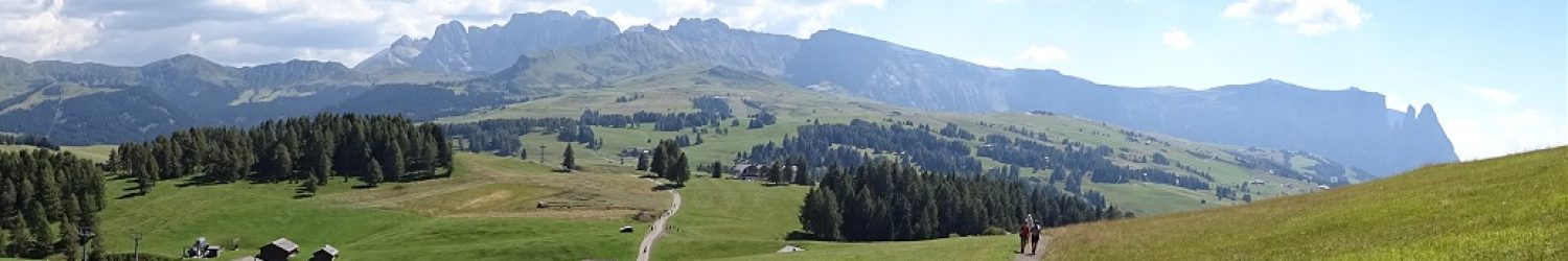DSC03839_neu